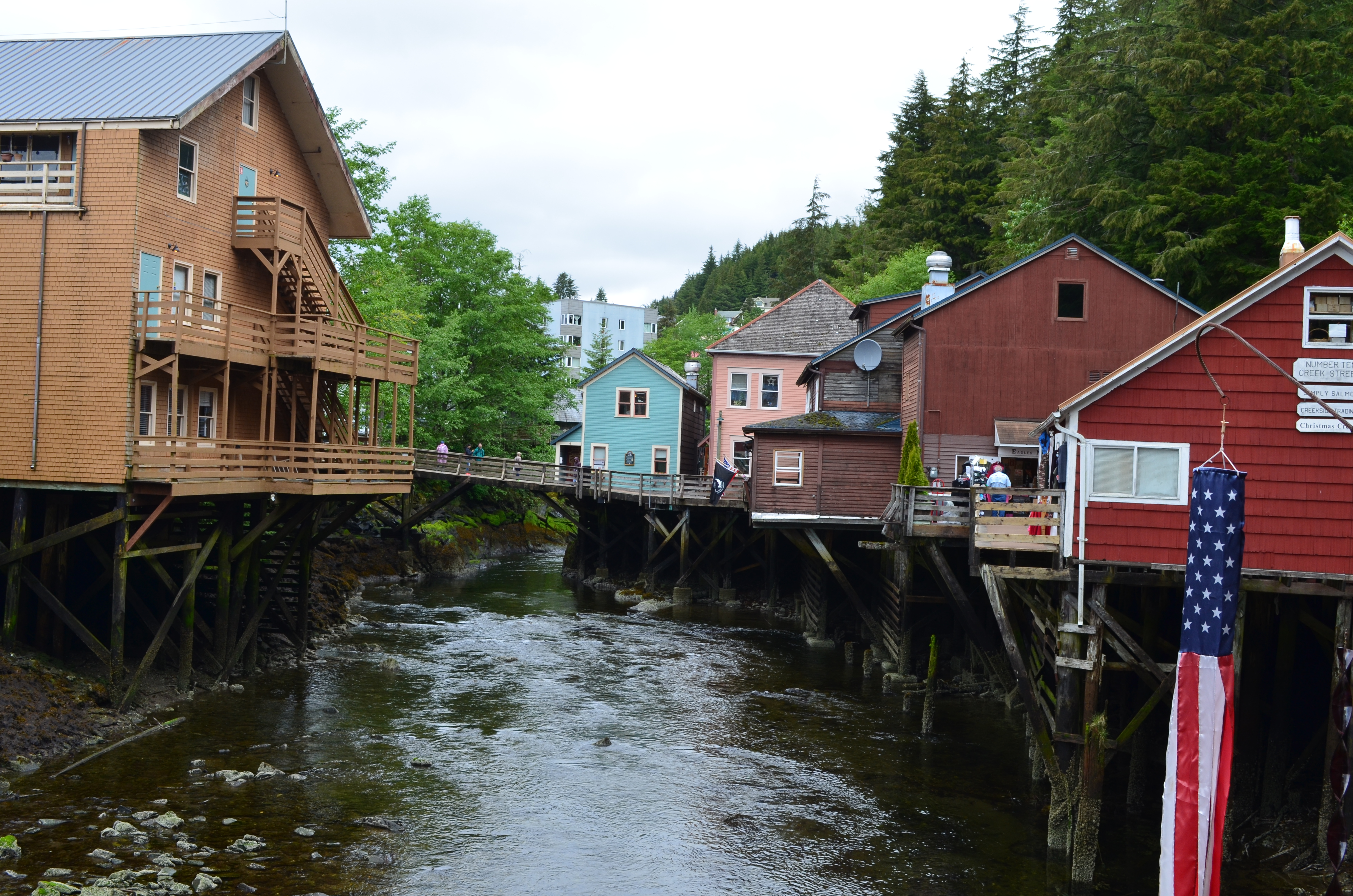 ./2017/08 - Alaska Cruise/11 - Ketchikan/DSC_0458.JPG